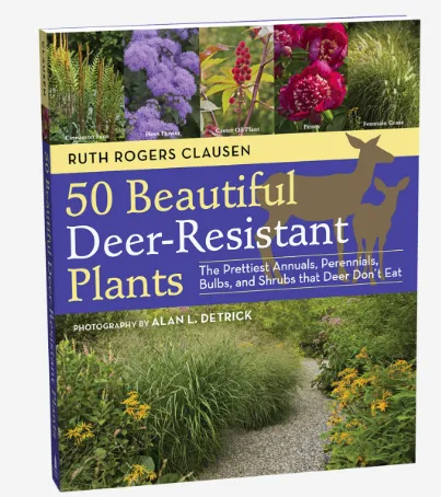 50 Beautiful Deer-Resistant Plants