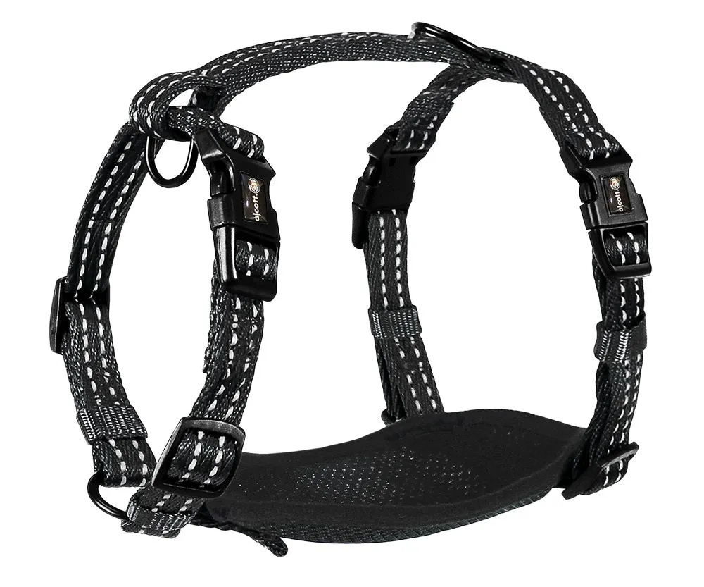 Adventure Harnesses