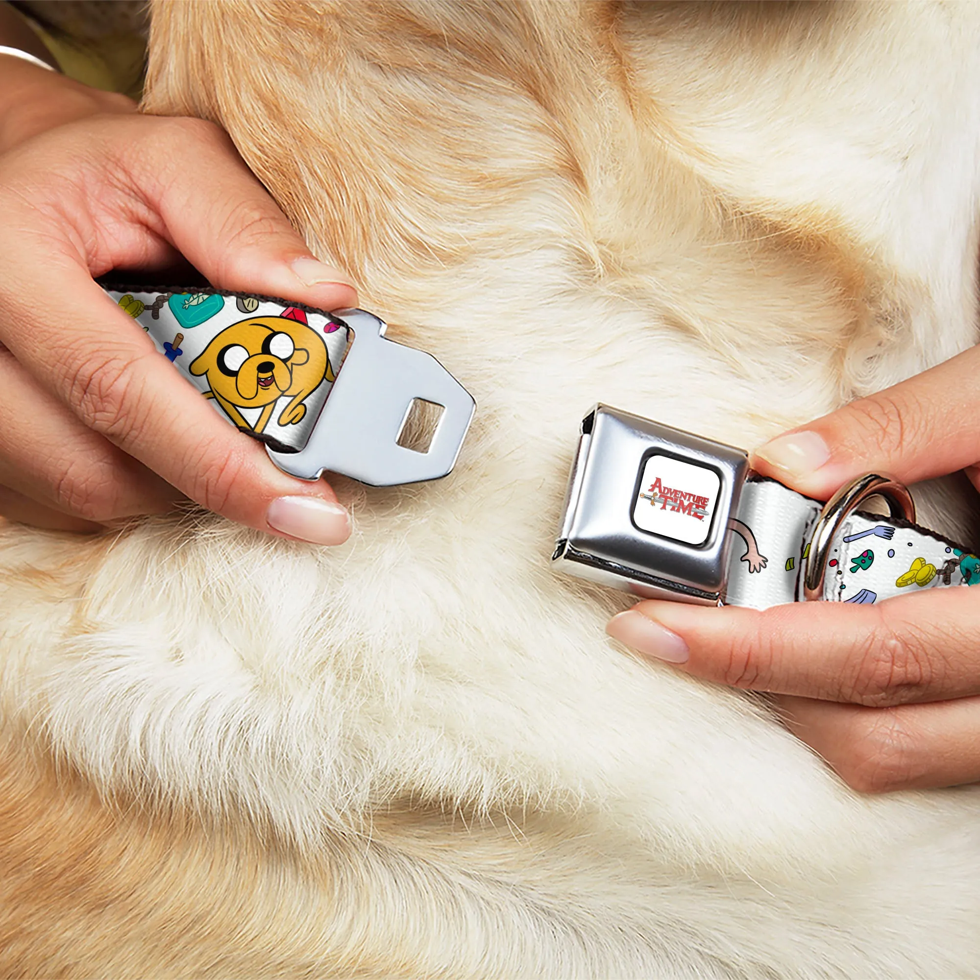 ADVENTURE TIME Title Logo Full Color White Seatbelt Buckle Collar - Adventure Time Jake and Finn Open Pack Pose White