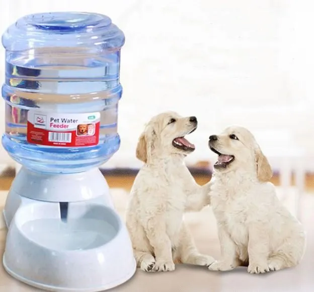 Automatic dispenser of large and small dogs