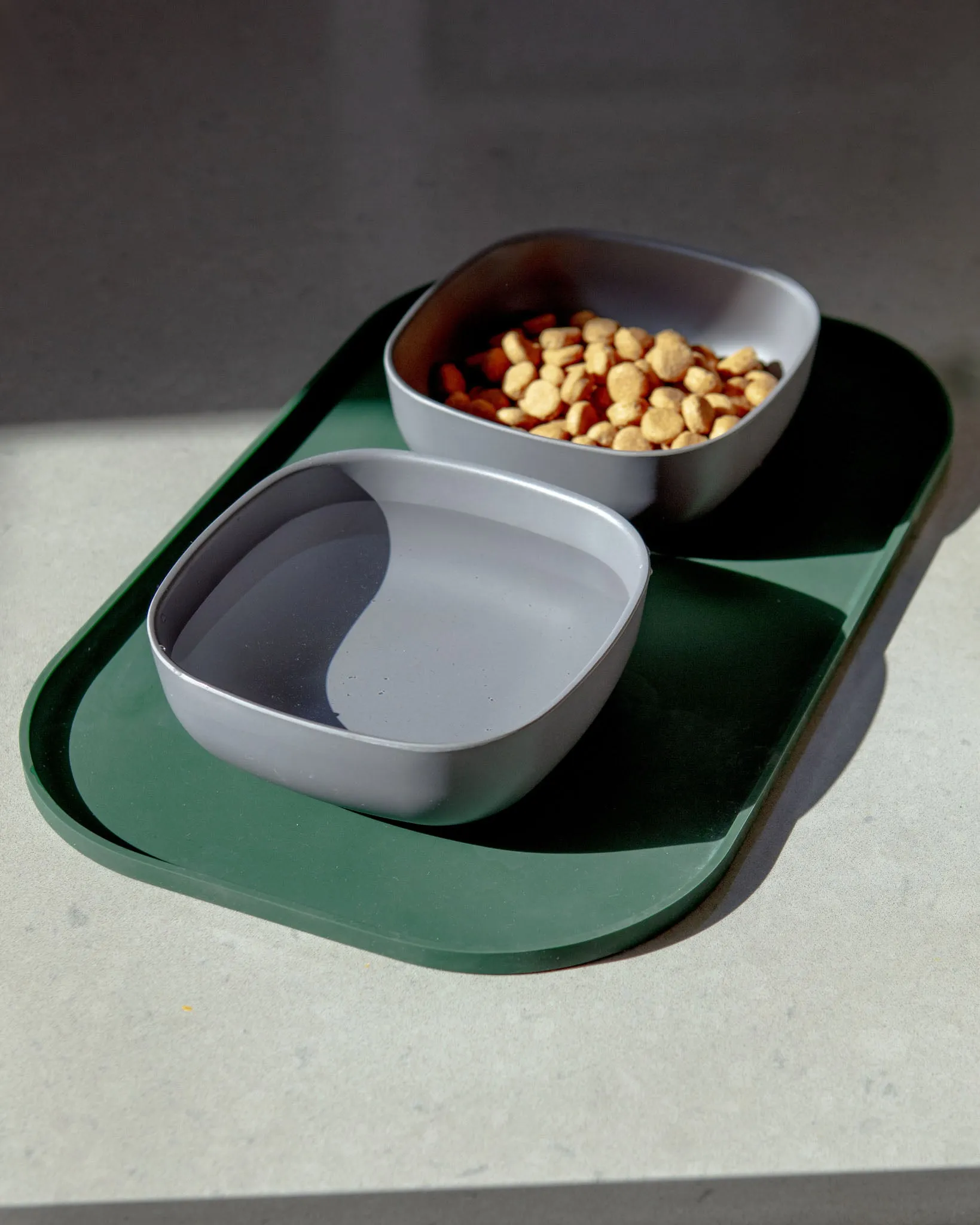 Basic Dog Placemat in Forest Green