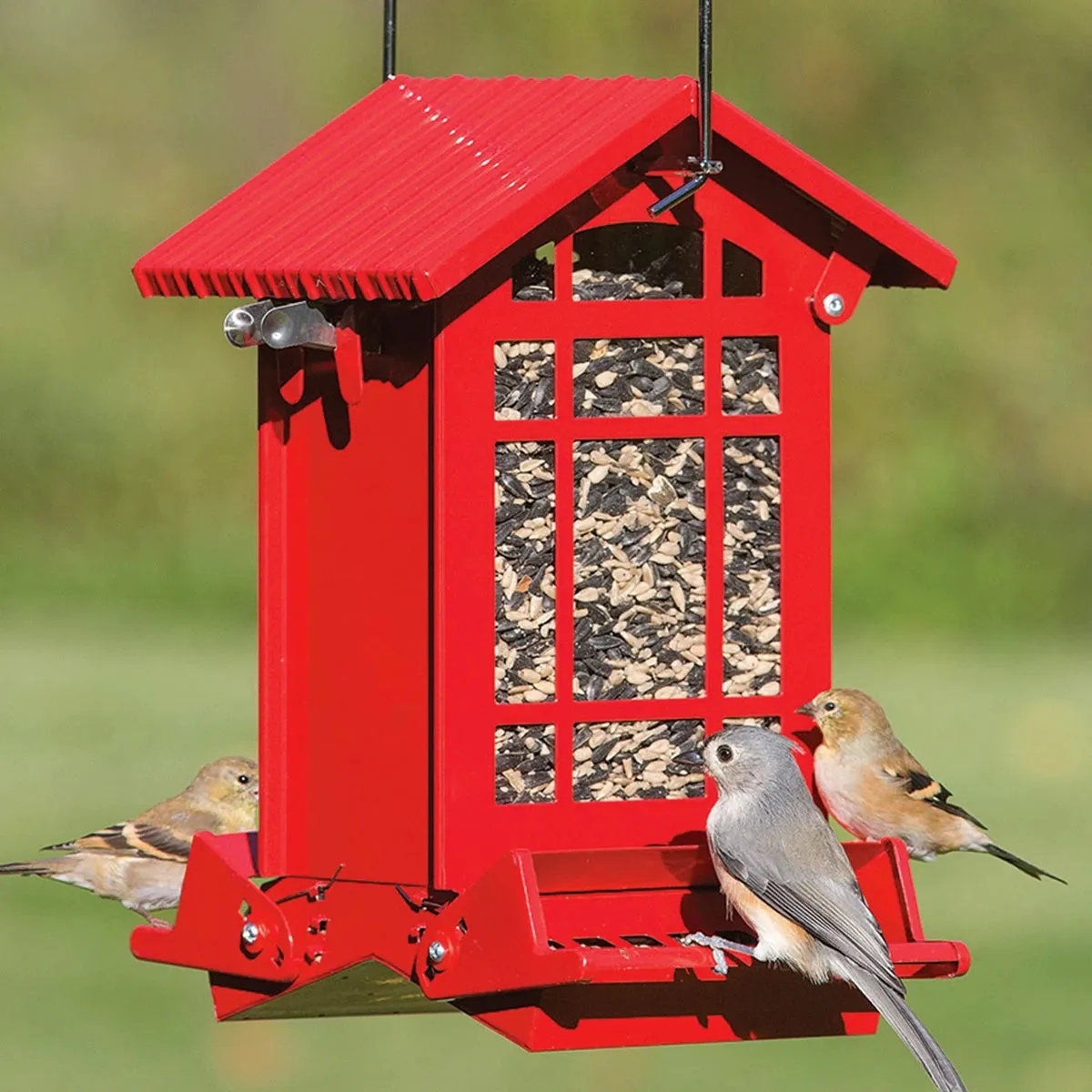 Chateau Squirrel-Resistant Feeder