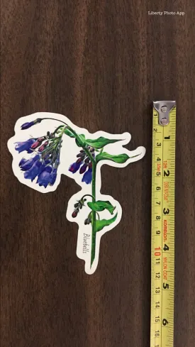 'Large Bluebells' Sticker