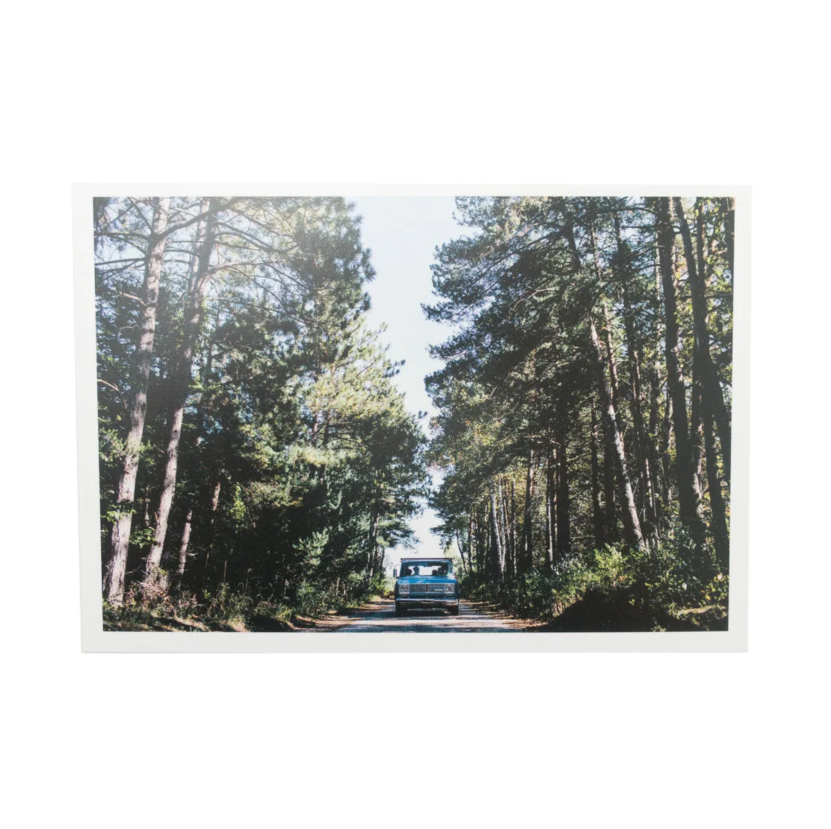 M22 POSTCARDS