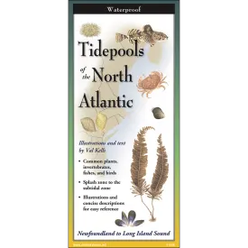 Tidepools of the North Atlantic - Folding Guide